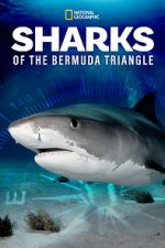 Watch Sharks of the Bermuda Triangle (TV Special 2020) 0123movies