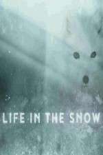 Watch Life in the Snow 0123movies