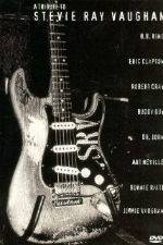 Watch A Tribute to Stevie Ray Vaughan 0123movies