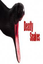 Watch National Geographic Wild Deadly Snakes 0123movies