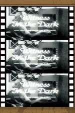 Watch Witness in the Dark 0123movies