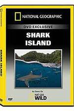 Watch National Geographic: Shark Island 0123movies