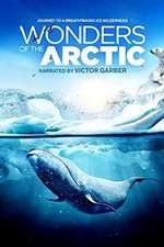 Watch Wonders of the Arctic 3D 0123movies