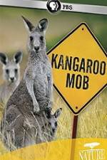 Watch Kangaroo Mob 0123movies