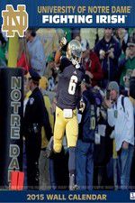 Watch The Fighting Irish 0123movies