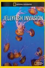 Watch National Geographic: Wild Jellyfish invasion 0123movies