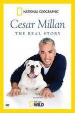 Watch Cesar Millan: The Real Story 0123movies