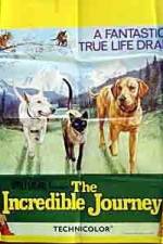 Watch The Incredible Journey 0123movies