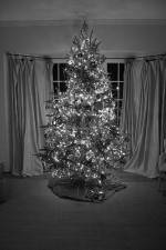 Watch The Christmas Miracle 0123movies