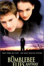 Watch The Bumblebee Flies Anyway 0123movies