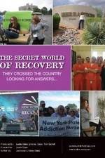Watch The Secret World of Recovery 0123movies