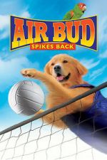 Watch Air Bud: Spikes Back 0123movies