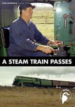 Watch A Steam Train Passes (Short 1974) 0123movies