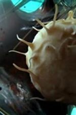Watch Our Secret Universe: The Hidden Life of the Cell 0123movies