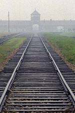 Watch AUSCHWITZ: FACTORIES OF DEATH 0123movies