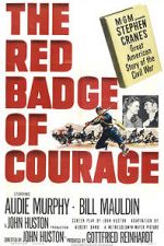 Watch The Red Badge of Courage 0123movies