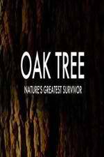 Watch Oak Tree Natures Greatest Survivor 0123movies