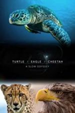 Watch Turtle, Eagle, Cheetah: A Slow Odyssey 0123movies