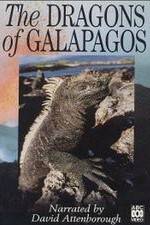 Watch The Dragons of Galapagos 0123movies