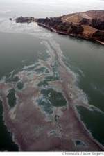 Watch National Geographic: Gulf Coast Disaster 0123movies