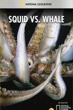 Watch National Geographic Wild - Squid Vs Whale 0123movies