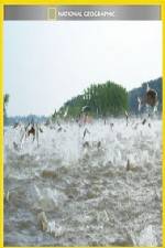 Watch National Geographic Hooked Carp Invasion 0123movies