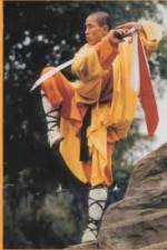 Watch National Geographic Kung Fu Secrets 0123movies