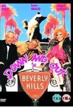 Watch Down and Out in Beverly Hills 0123movies