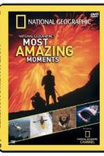 Watch National Geographic's Most Amazing Moments 0123movies