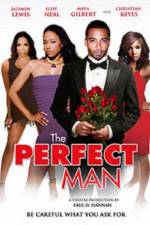 Watch The Perfect Man 0123movies