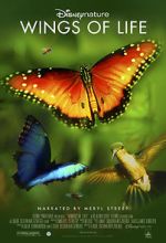 Watch Disneynature: Wings of Life 0123movies