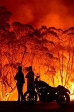 Watch Fire Fight Australia 0123movies