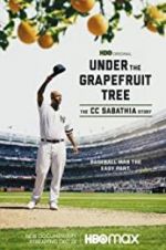 Watch Under the Grapefruit Tree: The CC Sabathia Story 0123movies