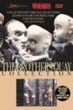 Watch The Comb 0123movies