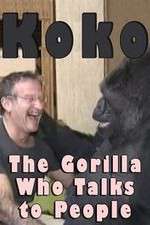 Watch Koko: The Gorilla Who Talks to People 0123movies