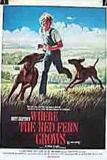 Watch Where the Red Fern Grows 0123movies