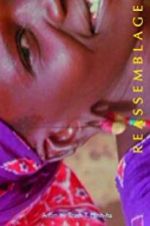 Watch Reassemblage: From the Firelight to the Screen 0123movies
