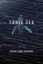 Watch Sonic Sea 0123movies