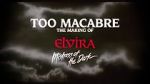 Watch Too Macabre: The Making of Elvira, Mistress of the Dark 0123movies