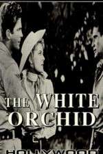 Watch The White Orchid 0123movies