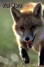 Watch Fox Wars 0123movies