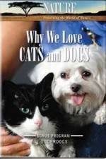 Watch Why We Love Cats And Dogs 0123movies