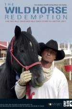 Watch The Wild Horse Redemption 0123movies