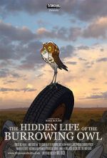 Watch The Hidden Life of the Burrowing Owl (Short 2008) 0123movies
