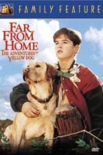 Watch Far from Home The Adventures of Yellow Dog 0123movies