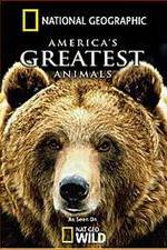 Watch America's Greatest Animals 0123movies