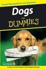 Watch Dogs for Dummies 0123movies