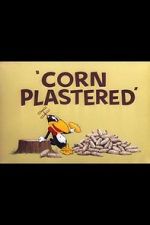 Watch Corn Plastered (Short 1951) 0123movies