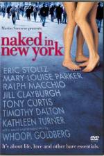 Watch Naked in New York 0123movies