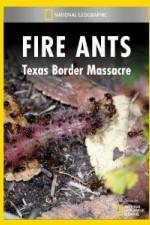 Watch National Geographic Fire Ants: Texas Border Massacre 0123movies